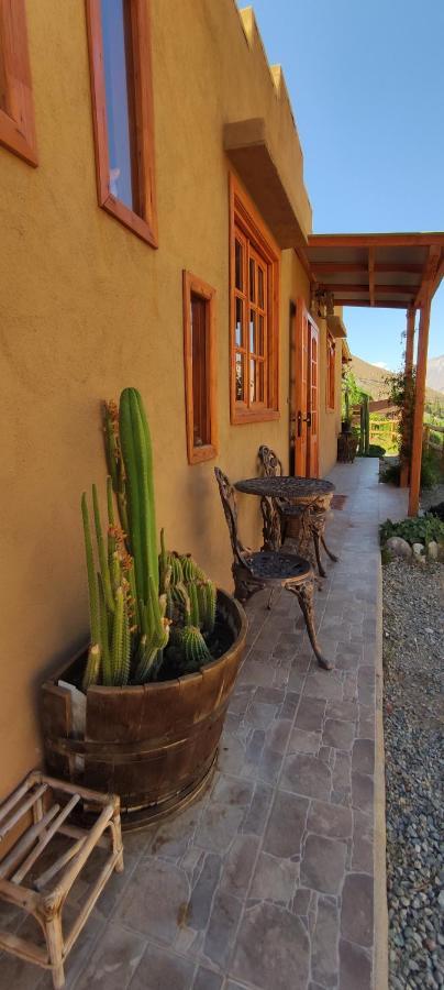 Casa Jardin De Hadas Con Vista Panoramica Pisco Elqui Luaran gambar